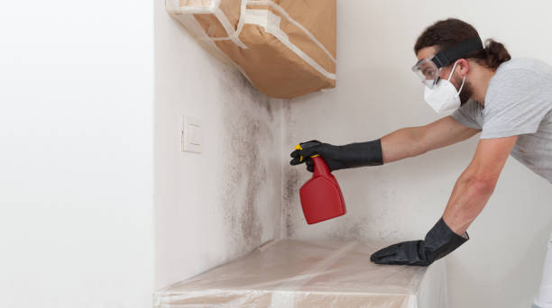 Professional Mold Removal technician working in Clifton, IL
